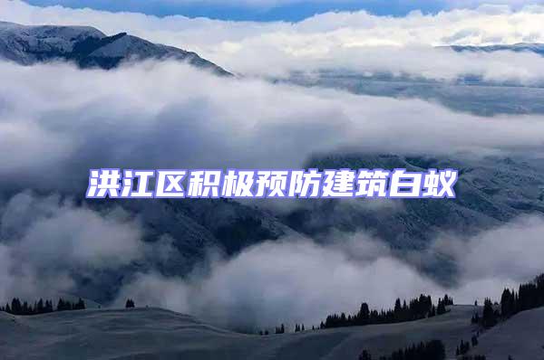 洪江區(qū)積極預防建筑白蟻