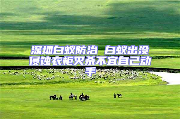 深圳白蟻防治 白蟻出沒(méi)侵蝕衣柜滅殺不宜自己動(dòng)手