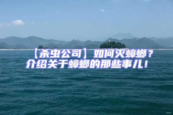 【殺蟲公司】如何滅蟑螂？介紹關(guān)于蟑螂的那些事兒！
