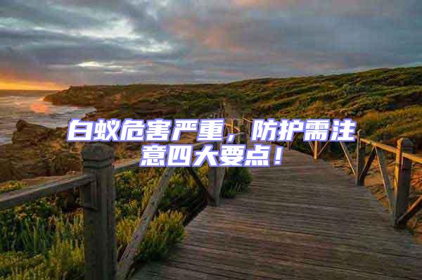 白蟻危害嚴(yán)重，防護(hù)需注意四大要點(diǎn)！