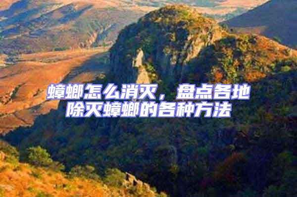 蟑螂怎么消滅，盤點(diǎn)各地除滅蟑螂的各種方法