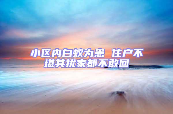 小區(qū)內(nèi)白蟻為患 住戶不堪其擾家都不敢回