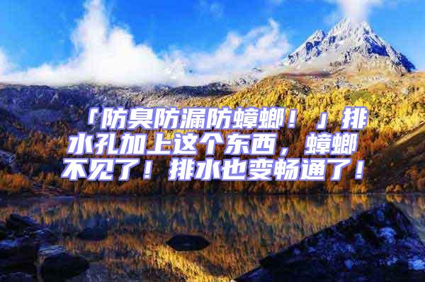 「防臭防漏防蟑螂！」排水孔加上這個東西，蟑螂不見了！排水也變暢通了！