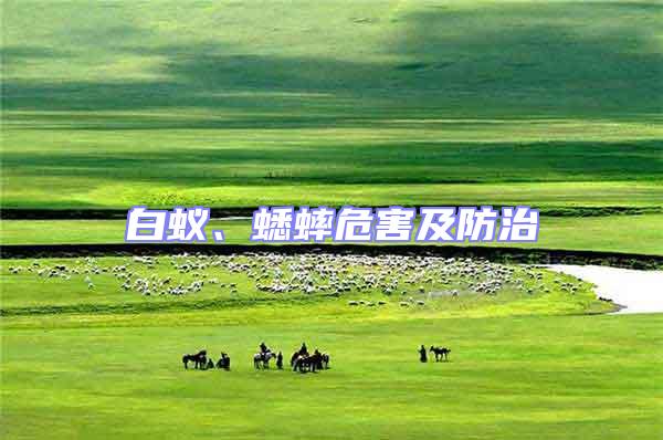 白蟻、蟋蟀危害及防治