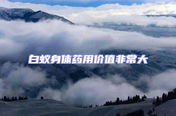 白蟻身體藥用價值非常大