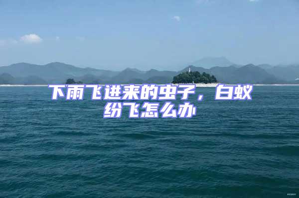 下雨飛進(jìn)來(lái)的蟲(chóng)子，白蟻紛飛怎么辦