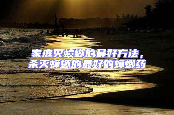 家庭滅蟑螂的最好方法，殺滅蟑螂的最好的蟑螂藥