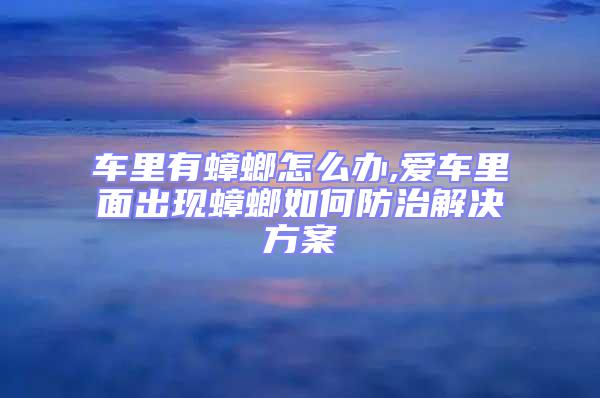 車?yán)镉畜朐趺崔k,愛車?yán)锩娉霈F(xiàn)蟑螂如何防治解決方案
