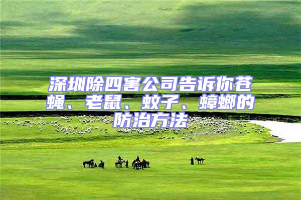 深圳除四害公司告訴你蒼蠅、老鼠、蚊子、蟑螂的防治方法