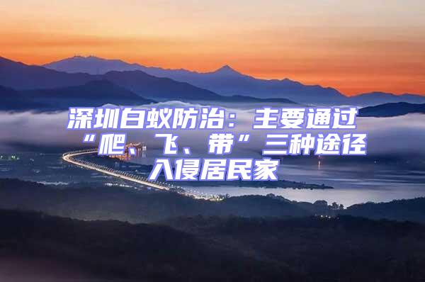深圳白蟻防治：主要通過(guò)“爬、飛、帶”三種途徑入侵居民家