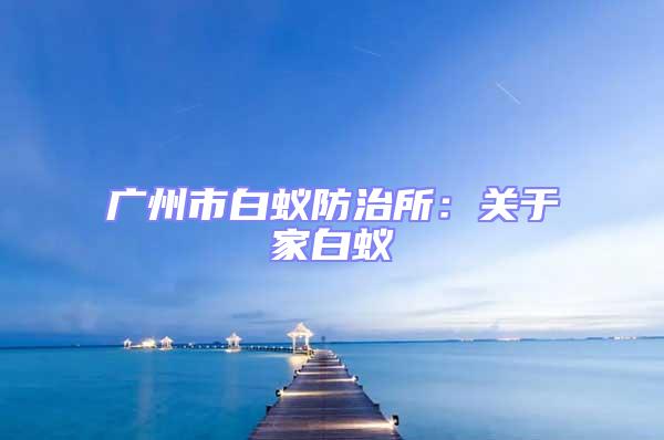 廣州市白蟻防治所：關(guān)于家白蟻