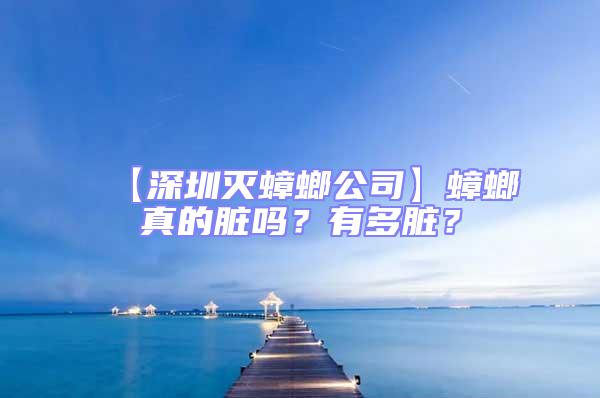 【深圳滅蟑螂公司】蟑螂真的臟嗎？有多臟？