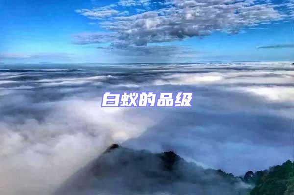 白蟻的品級(jí)
