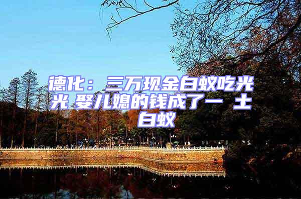 德化:三萬現(xiàn)金白蟻吃光光 娶兒媳的錢成了一抔土 白蟻