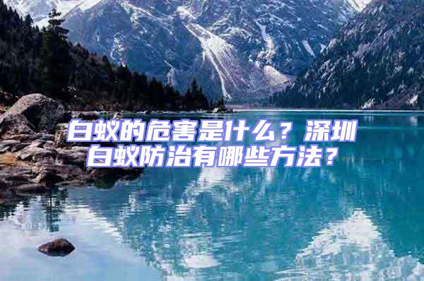 白蟻的危害是什么？深圳白蟻防治有哪些方法？