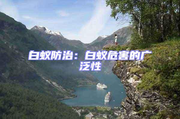 白蟻防治:白蟻危害的廣泛性