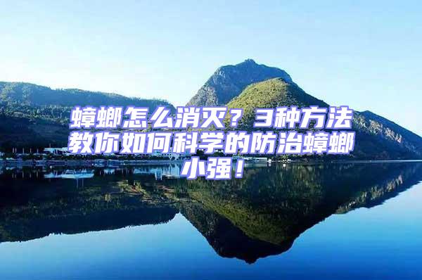 蟑螂怎么消滅？3種方法教你如何科學(xué)的防治蟑螂小強(qiáng)！