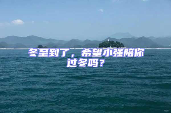 冬至到了，希望小強(qiáng)陪你過冬嗎？
