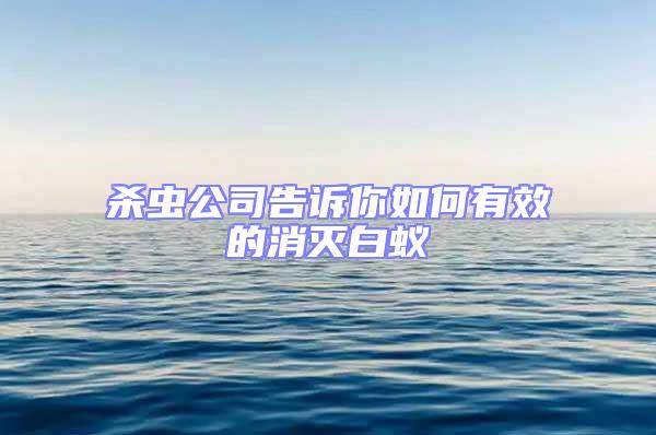 殺蟲(chóng)公司告訴你如何有效的消滅白蟻