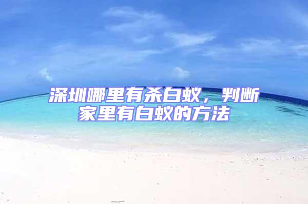 深圳哪里有殺白蟻，判斷家里有白蟻的方法