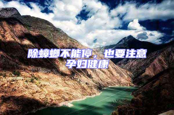 除蟑螂不能停，也要注意孕婦健康