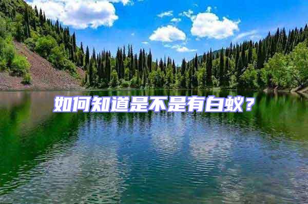 如何知道是不是有白蟻？