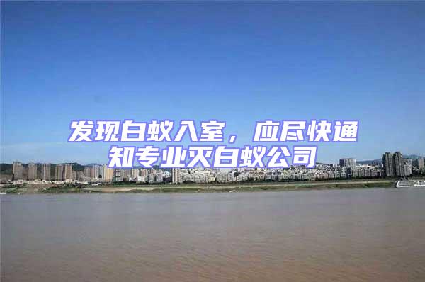 發(fā)現(xiàn)白蟻入室，應(yīng)盡快通知專業(yè)滅白蟻公司