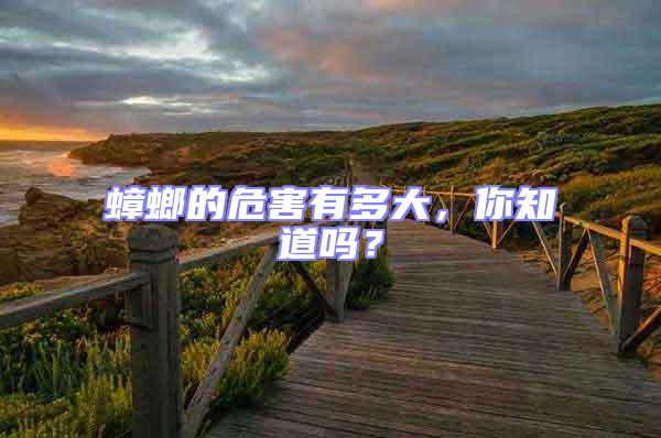 蟑螂的危害有多大，你知道嗎？