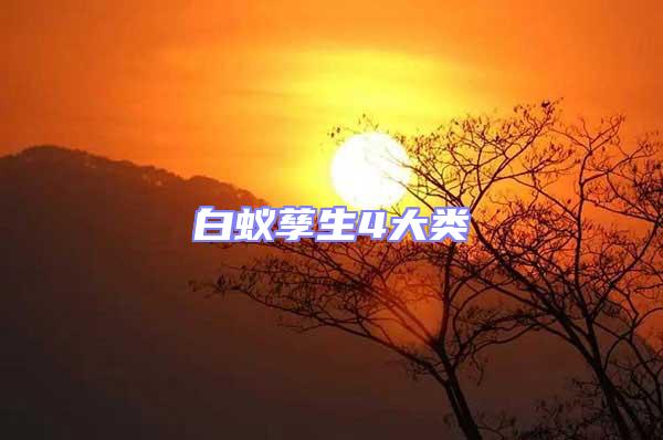 白蟻孳生4大類(lèi)