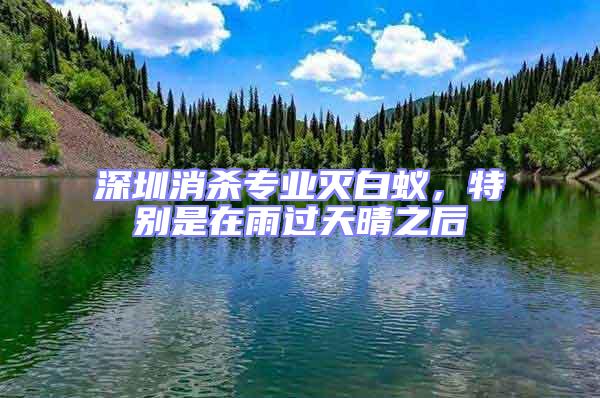 深圳消殺專業(yè)滅白蟻，特別是在雨過天晴之后