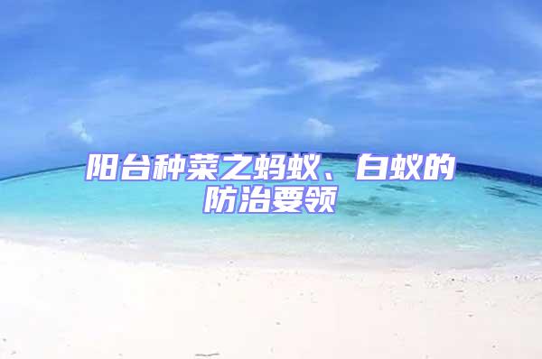 陽臺種菜之螞蟻、白蟻的防治要領(lǐng)