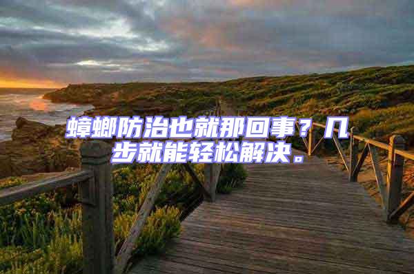 蟑螂防治也就那回事？幾步就能輕松解決。