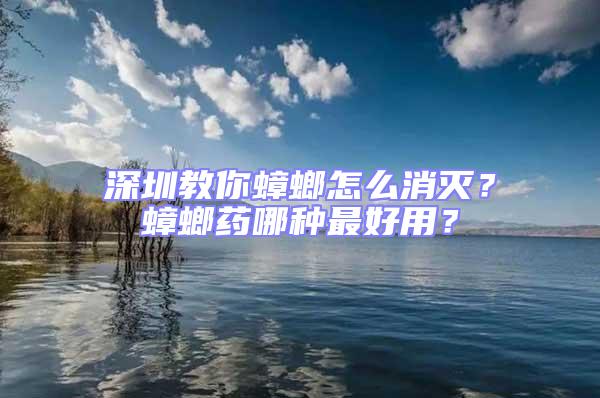 深圳教你蟑螂怎么消滅？蟑螂藥哪種最好用？