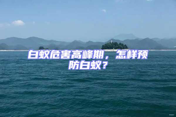 白蟻危害高峰期，怎樣預(yù)防白蟻？