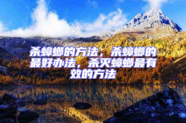 殺蟑螂的方法，殺蟑螂的最好辦法，殺滅蟑螂最有效的方法