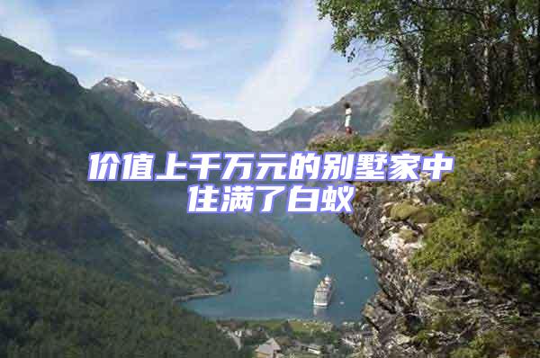 價(jià)值上千萬元的別墅家中住滿了白蟻