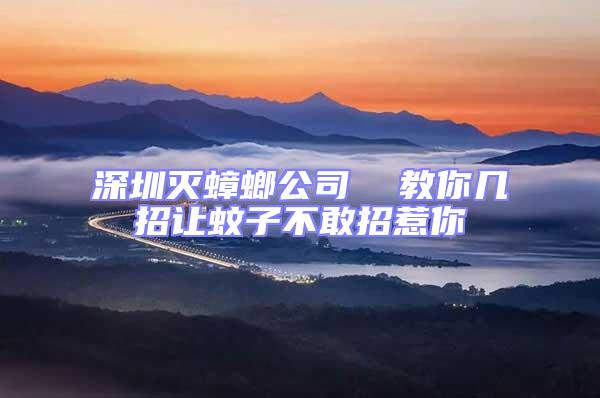 深圳滅蟑螂公司  教你幾招讓蚊子不敢招惹你