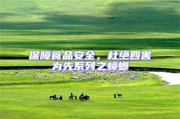 保障食品安全，杜絕四害為先系列之蟑螂