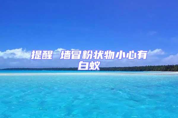 提醒 墻冒粉狀物小心有白蟻