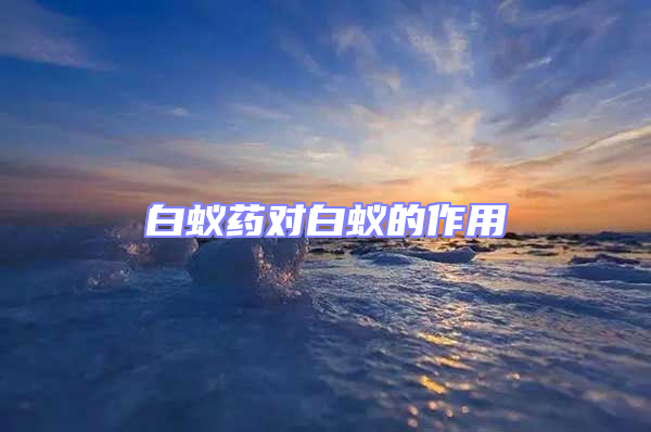 白蟻藥對(duì)白蟻的作用