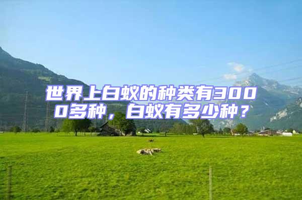 世界上白蟻的種類有3000多種，白蟻有多少種？