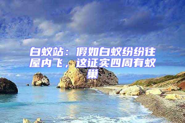 白蟻站:假如白蟻紛紛往屋內(nèi)飛,這證實(shí)四周有蟻巢