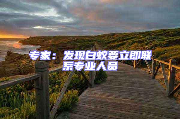 專家:發(fā)現(xiàn)白蟻要立即聯(lián)系專業(yè)人員