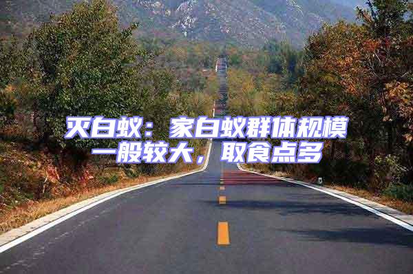 滅白蟻：家白蟻群體規(guī)模一般較大，取食點(diǎn)多