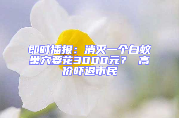 即時(shí)播報(bào)：消滅一個(gè)白蟻巢穴要花3000元？ 高價(jià)嚇退市民