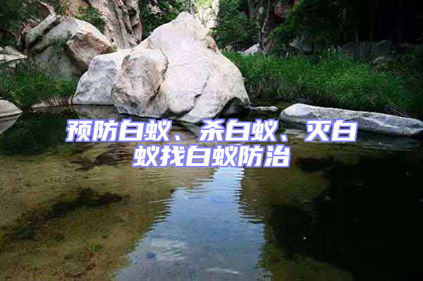 預(yù)防白蟻、殺白蟻、滅白蟻找白蟻防治