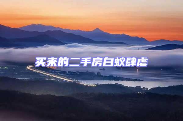 買來的二手房白蟻肆虐