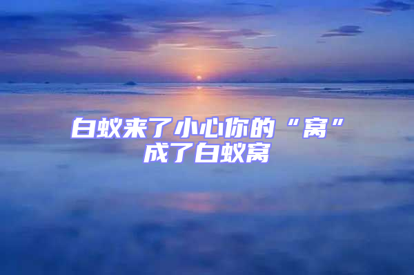 白蟻來(lái)了小心你的“窩”成了白蟻窩
