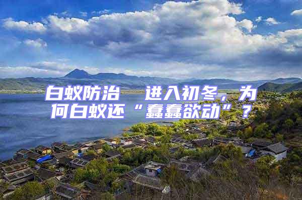 白蟻防治  進(jìn)入初冬，為何白蟻還“蠢蠢欲動(dòng)”？