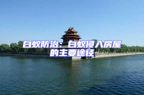 白蟻防治：白蟻侵入房屋的主要途徑